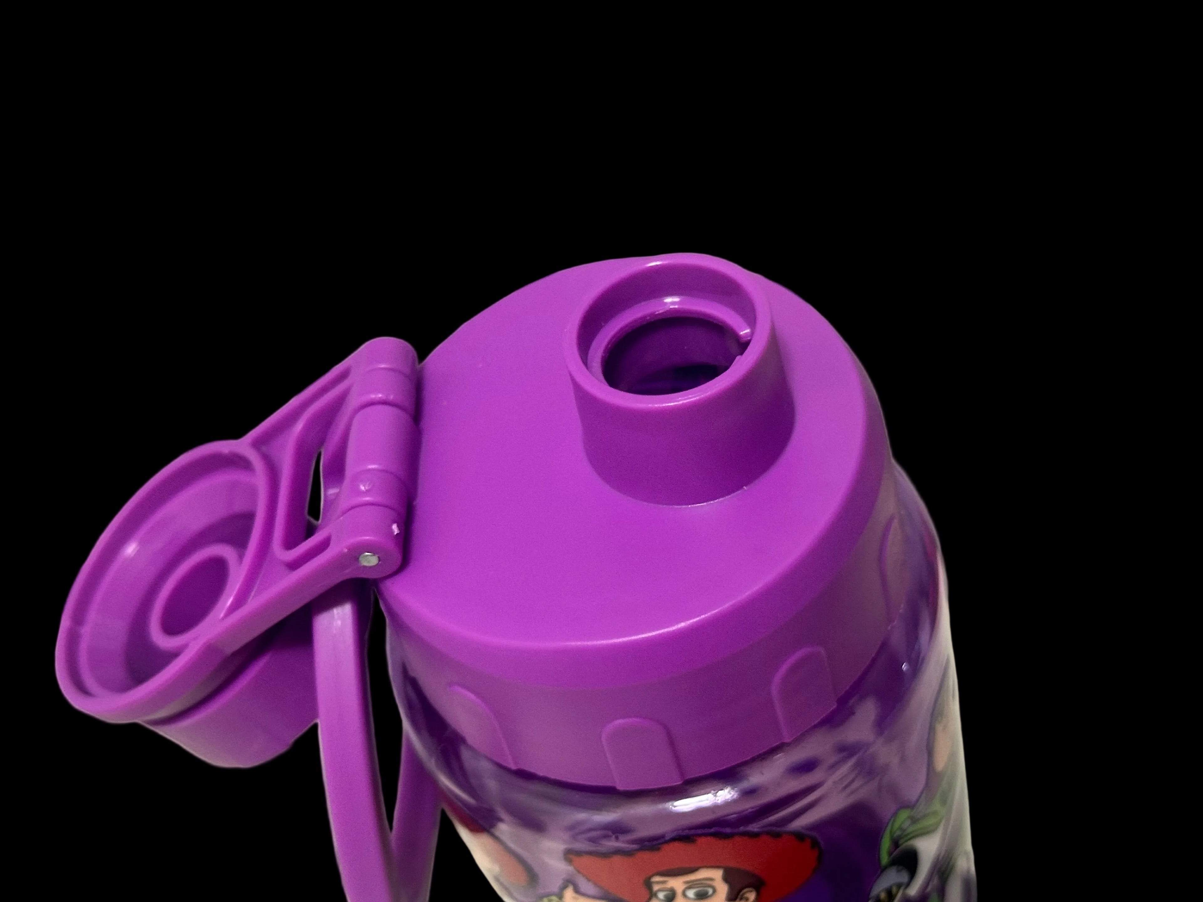 Toy Story 18.8 OZ Water Bottle